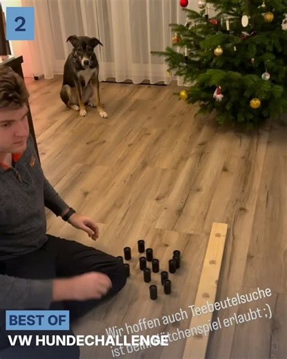 Martin Rütter on Reels
