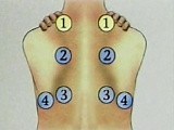 Assessment Of The Posterior Thorax (Continued) • Video • MEDtube.net