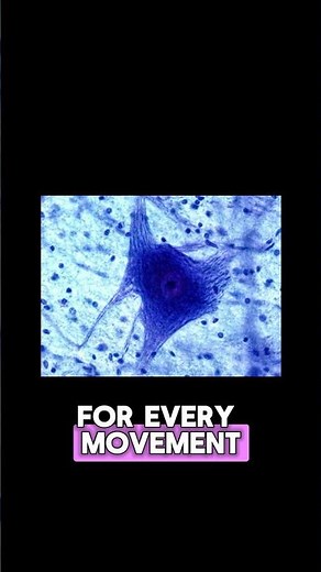 ALS The Disease That Changes Everything