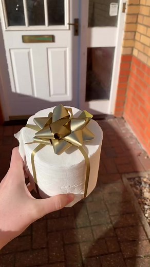 Mother's Day 2020: The Perfect Gift Toilet Roll Holder | UK Vlog Comedy