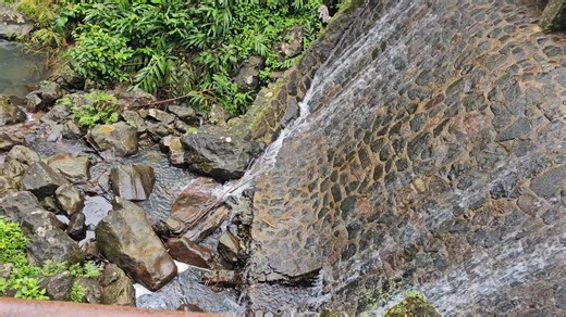 Michele Alexander on Reels