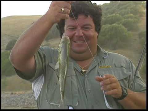 Surf Perch Fishing - Part 2 at Santa Cruz Island