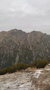 Rimutė Kan on Reels