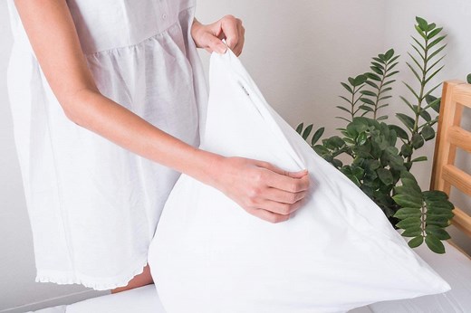 10 Best Pillow Protectors Reviewed in Detail (Winter 2026)