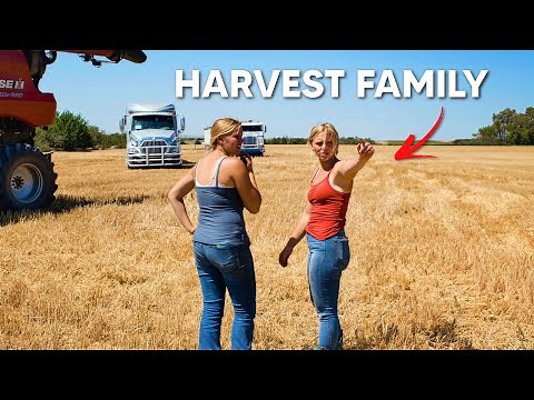 Working as a Family on Harvest | Brad Befort Harvesting