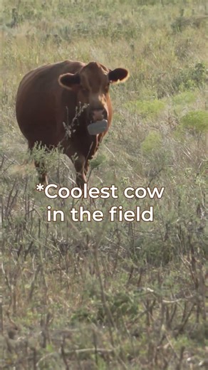 Virtual Fencing is a new technolgy solving old problems.