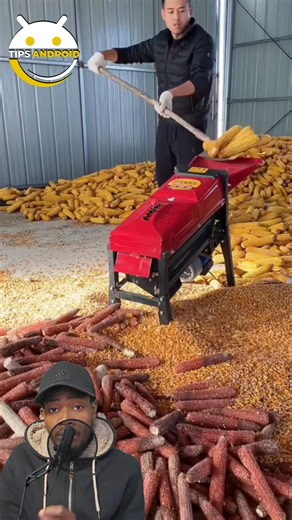 27K views · 151 reactions | Ou pral sezi dekouvri materyèl sa e tout moun ki gen jaden mayi ta sipoze genyen #reelsfacebook #reelsviral #reels | Tips Android | Facebook