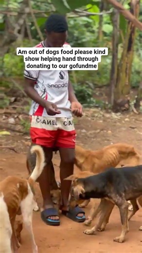 am out of dogs food please kind show helping hand through donating @Strategyonecanada