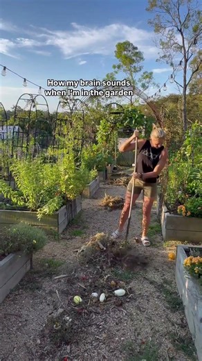 How I Built a Backyard Sanctuary (My Happy Place)