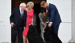 Michael D Higgins reveals one of his dogs had passed away and was replaced - Extra.ie
