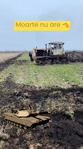 Nu se dă bătut 🔝🔝🔝 #DNP #Christmas #shortsreels #shortvideo | Dan Nicolae Pirvu