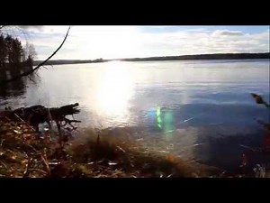 Canon EOS 1200D [test video]