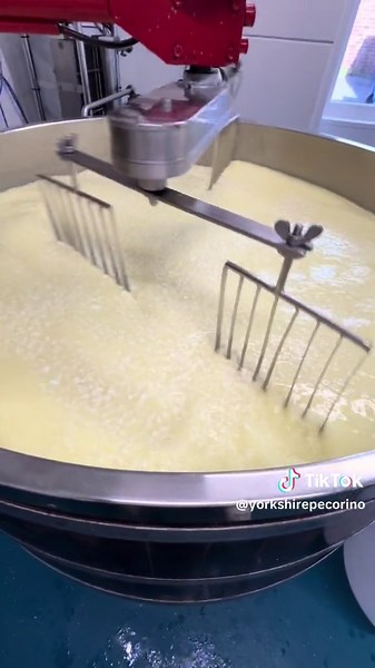 #cheesemaking #cutting #curd #yorkshirepecorino #yorkshirecheese #cheese #britishcheese #artisancheese #uk #cheeseboard #Englishcheese #sheepscheese #deli #cheeselover #awardwinning #chef #Cheesemaker #leeds #London #kase #ost #formaggio #queso
