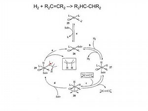 W2L3 catalytic cycles 1