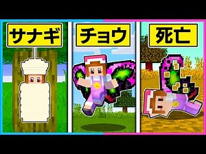 チョウになって生活するマインクラフト🦋【 マイクラ / Minecraft 】【ゲーム実況】