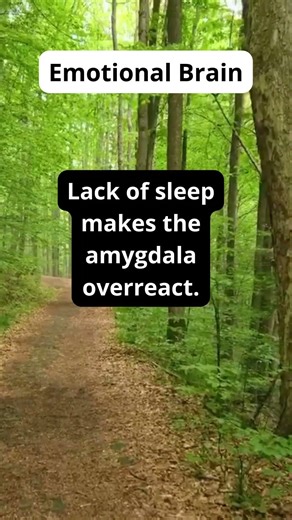 Sleep Hacks for Better Rest | Fix Insomnia Naturally-Daily Sleep Tips | Fall Asleep Faster