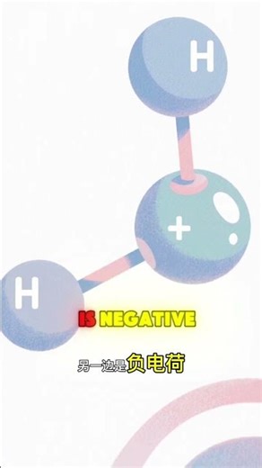 Why Water’s Polarity Powers Life on Earth