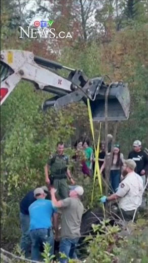 Moose rescued from abandoned well in northern Maine