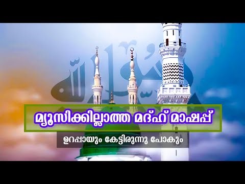 Madhu Mashup New 2025 | Madh Song 2025 | കേട്ടിരുന്നു പോകും