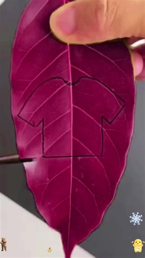 Exploring Popular Reddit Stories