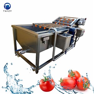 [Hot Item] Industrial Cabbage Squash Tomato Arugula Fruit Processing Machine Vegetable Washing Machine