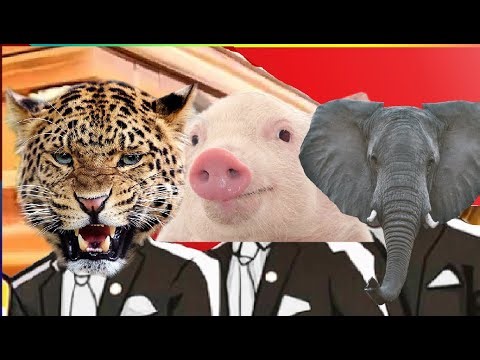 Cheetah Vs Pig Vs Elephant - Coffin Dance Meme Cover