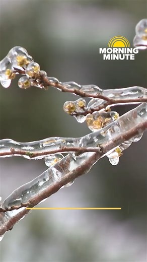 Warming centers open around our region, thousands in VA still without power, communities in TN coming together to recover from winter storm, experts say people could get more on tax returns. | WCYB