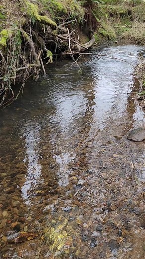 Rock Hunting for Beautiful Banded Carnelians in WA