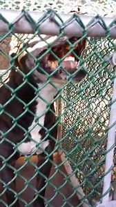 23 reactions · 28 shares | This is where he has to wait while his...