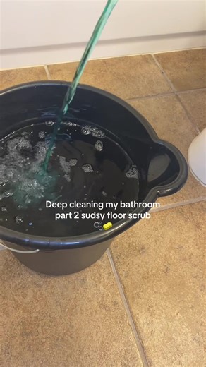Deep Cleaning My Bathroom: Part 2