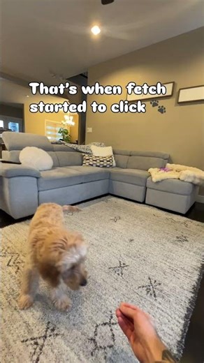 How to start fetch