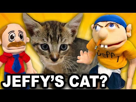 SML Movie: Jeffy's New Kitten!