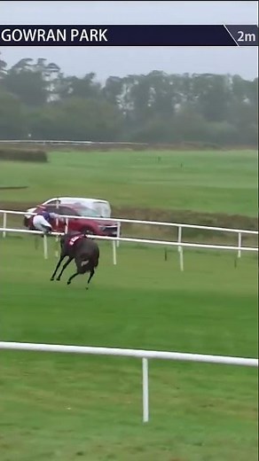 When you've had enough of your jockey! 😂 #horse #horseracing #racingtv #sport