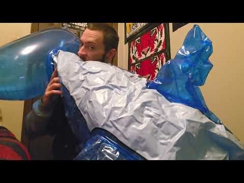 Bestway Dolphin Inflation