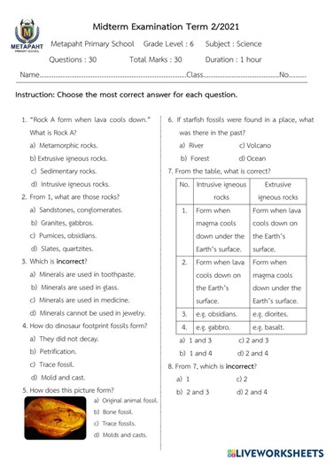 Test: Rocks and Fossils worksheet