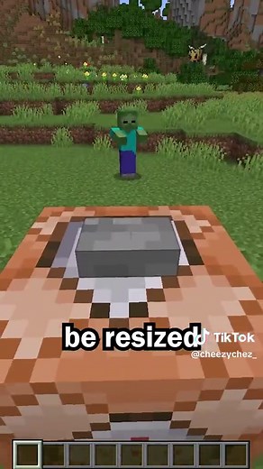 TikTok - Make Your Day