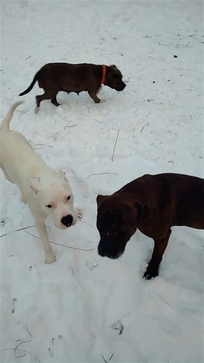 beautiful sky slide riding with the kids