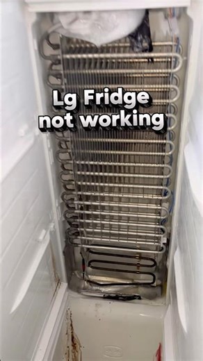 Lg Fridge Assessment