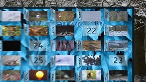 47K views · 2.8K reactions | Day 22, more of the wonderful wildlife from over the seasons! | BBC Springwatch | Facebook