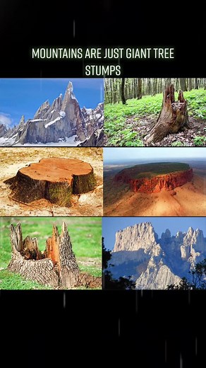Did you know? Mountains are just giant tree stumps. Follow for more of the best posts from Reddit. #conspiracy #nature