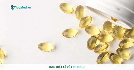 Bạn biết gì về Dầu cá (Fish oil) ngoài tác dụng sáng mắt?