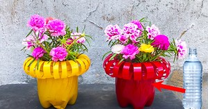 DIY Plastic Bottle Pots