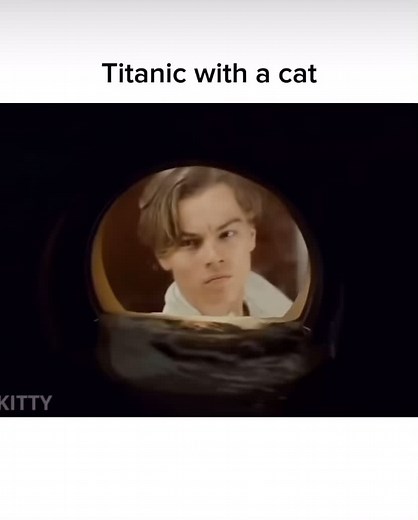 Brilliant Idea: Titanic Cat Movie Funny Moments