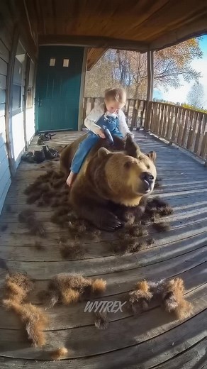 32K views · 22K reactions | I caught my daughter shaving a mohawk into a wild bear  #cctv #bear #hair #haircut | Wade Wytrex | Facebook