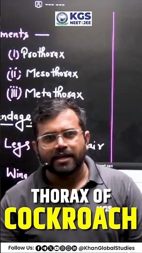 Thorax Of Cockroach 📚🎯 #thorax #cockroach #cockroachthoraxparts #bodyparts #neetpreparation #kgsneet
