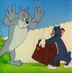 443K views · 10K reactions | Tom and Jerry Best Funny Clip 96 | Bipolar | Facebook