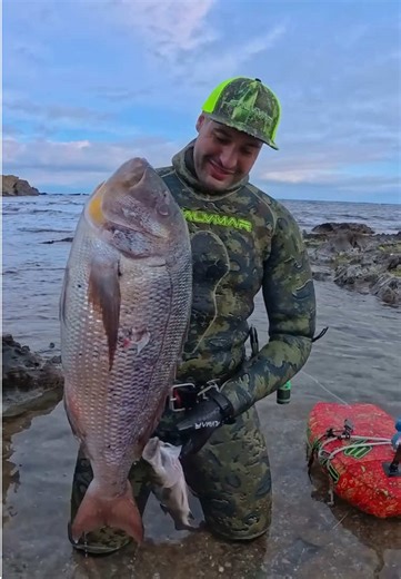 Ultimate Guide to Great Snapper Fishing