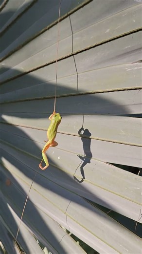 living in the real world