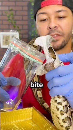 Why Venomous Snake Are Milked