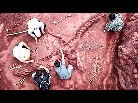 Paleontologists Amazed By Latest Dinosaur Fossil Finds